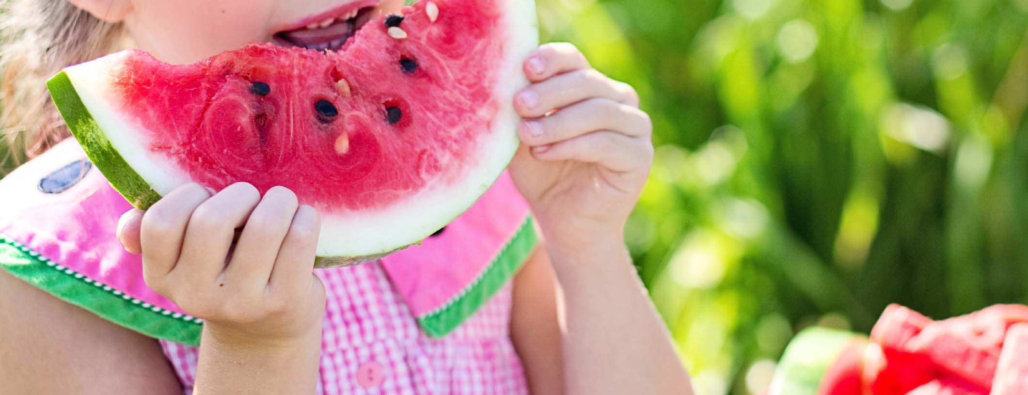 Summer safety tips blog   watermelon 01